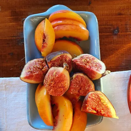 La Vecchia Quercia Poppi